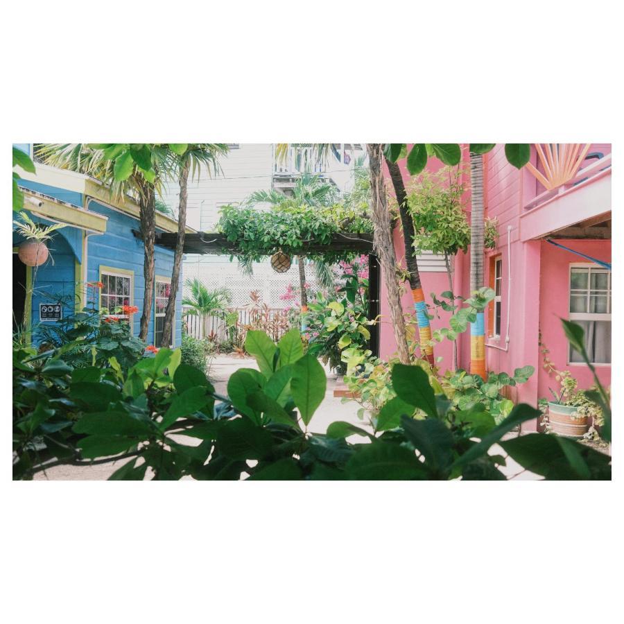 Sea N Sun Guest House Caye Caulker Εξωτερικό φωτογραφία