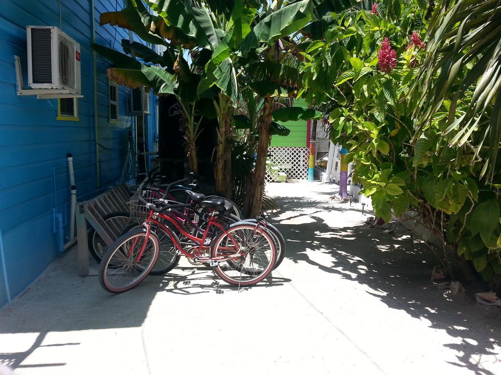 Sea N Sun Guest House Caye Caulker Εξωτερικό φωτογραφία
